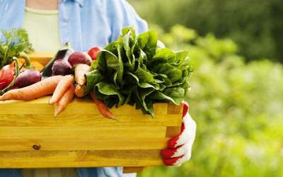 丹麥:北歐國家的有機(jī)農(nóng)業(yè)&ldquo;童話&rdquo;